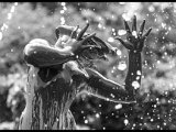 Digital Image (Monochrome) 1st Foam Fountain by Paul Skehan : Greenbank, flowers, garden